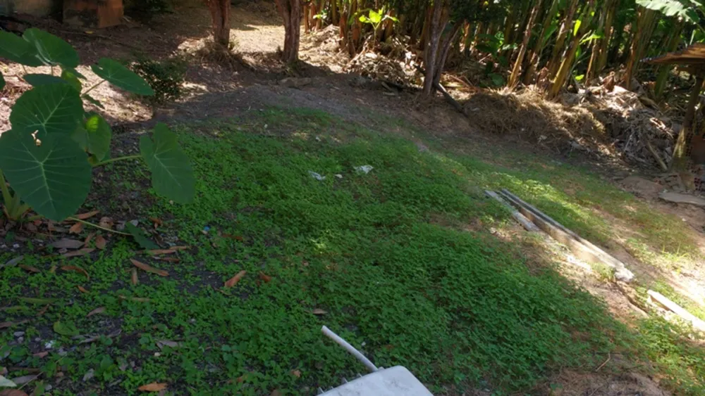 Terreno, 1980 m² - Foto 6