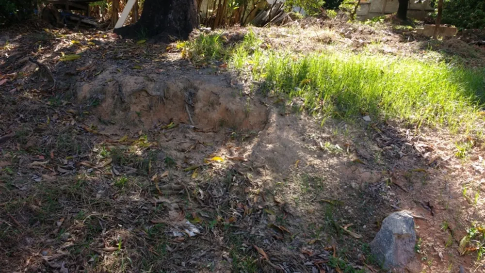 Terreno, 1980 m² - Foto 15