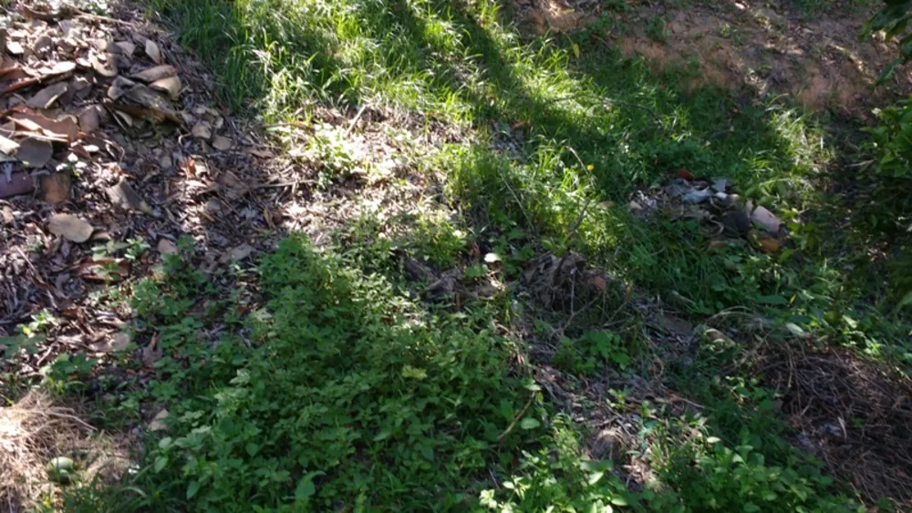 Terreno, 1980 m² - Foto 12