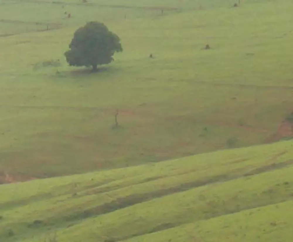 Fazenda, 1500 hectares - Foto 3