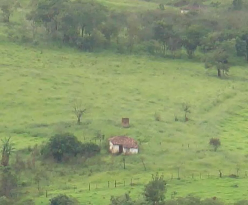 Fazenda, 1500 hectares - Foto 1