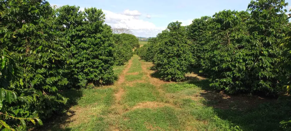 Fazenda, 666 m² - Foto 6