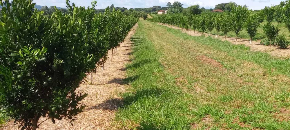 Fazenda, 666 m² - Foto 1