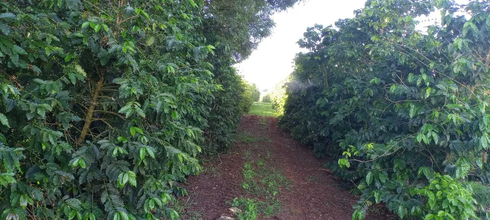 Fazenda, 666 m² - Foto 7