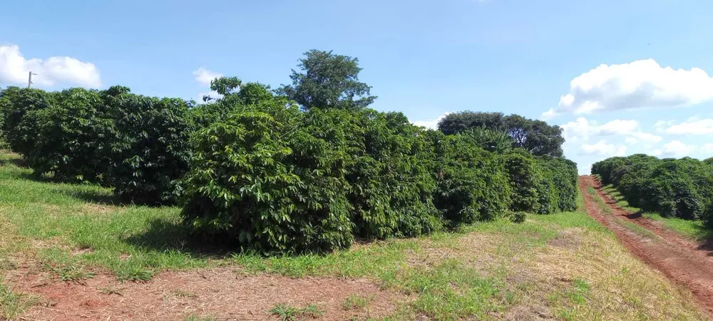 Fazenda, 666 m² - Foto 6