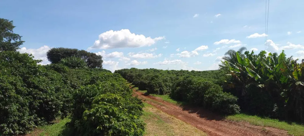 Fazenda, 666 m² - Foto 4