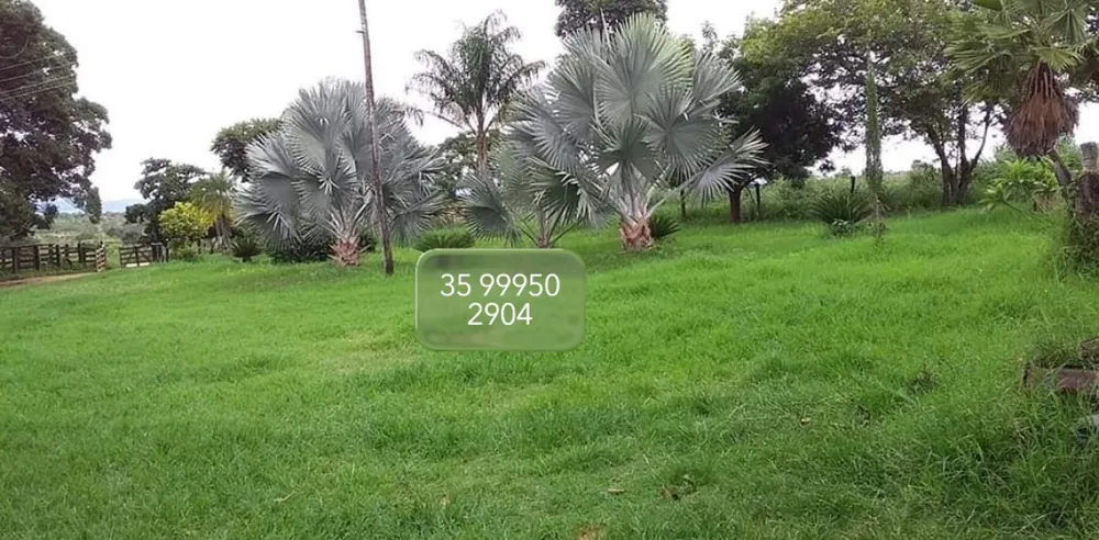 Fazenda, 1272 hectares - Foto 2