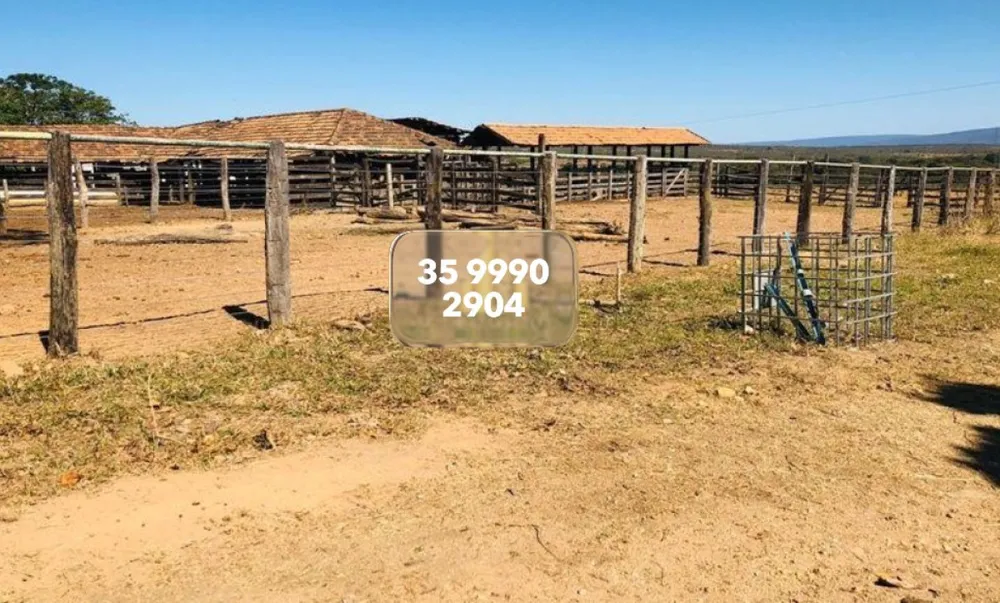 Fazenda, 1272 hectares - Foto 8