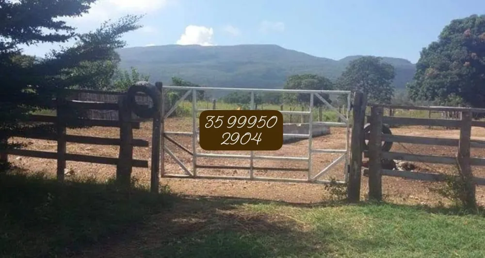 Fazenda, 1272 hectares - Foto 13