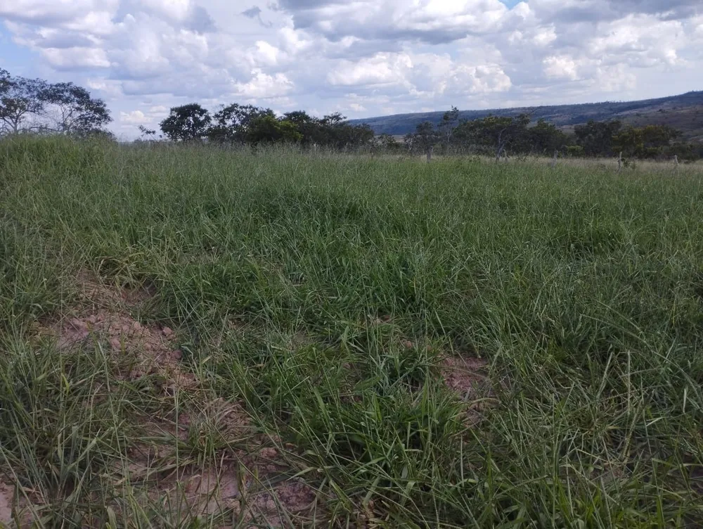 Fazenda, 3 quartos - Foto 6