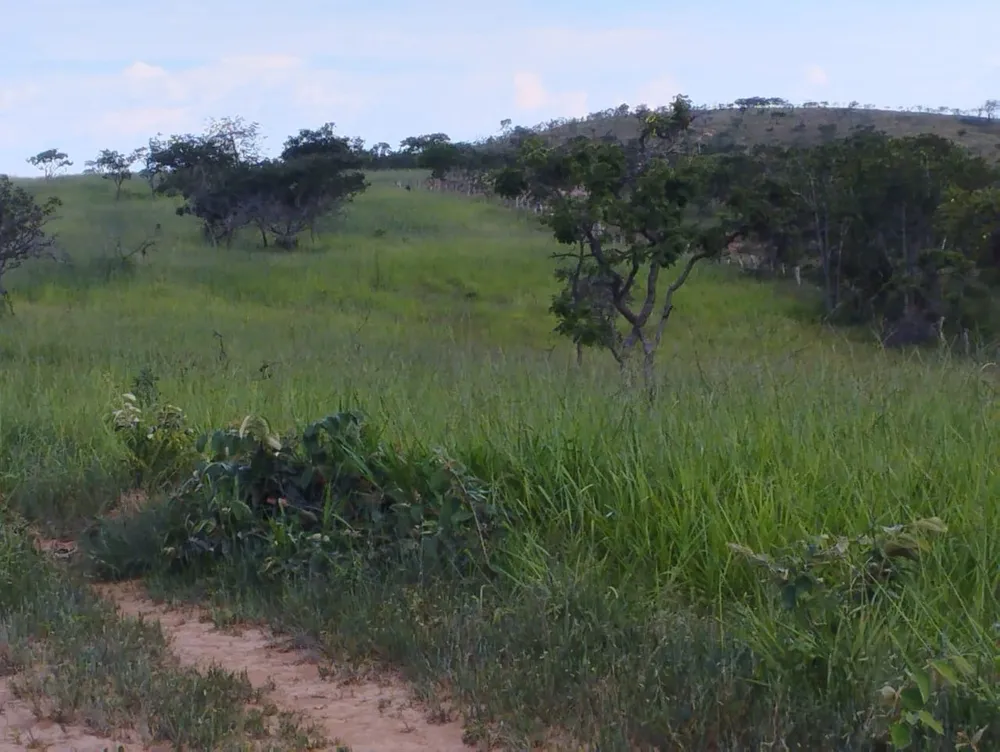 Fazenda, 3 quartos - Foto 4