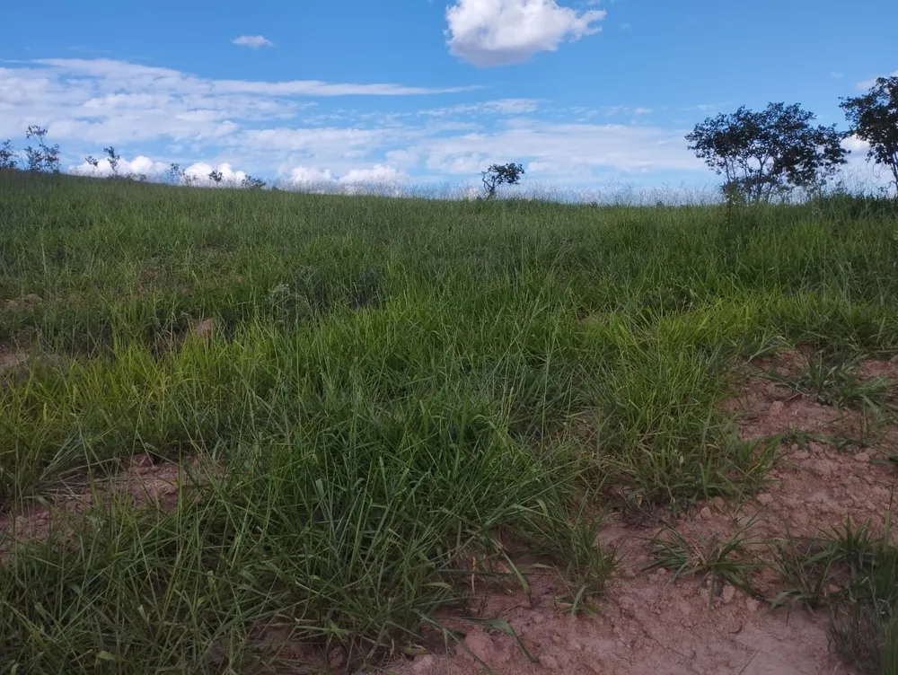Fazenda, 3 quartos - Foto 7