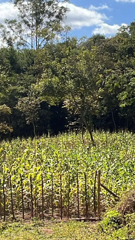 Terreno, 80 m² - Foto 5