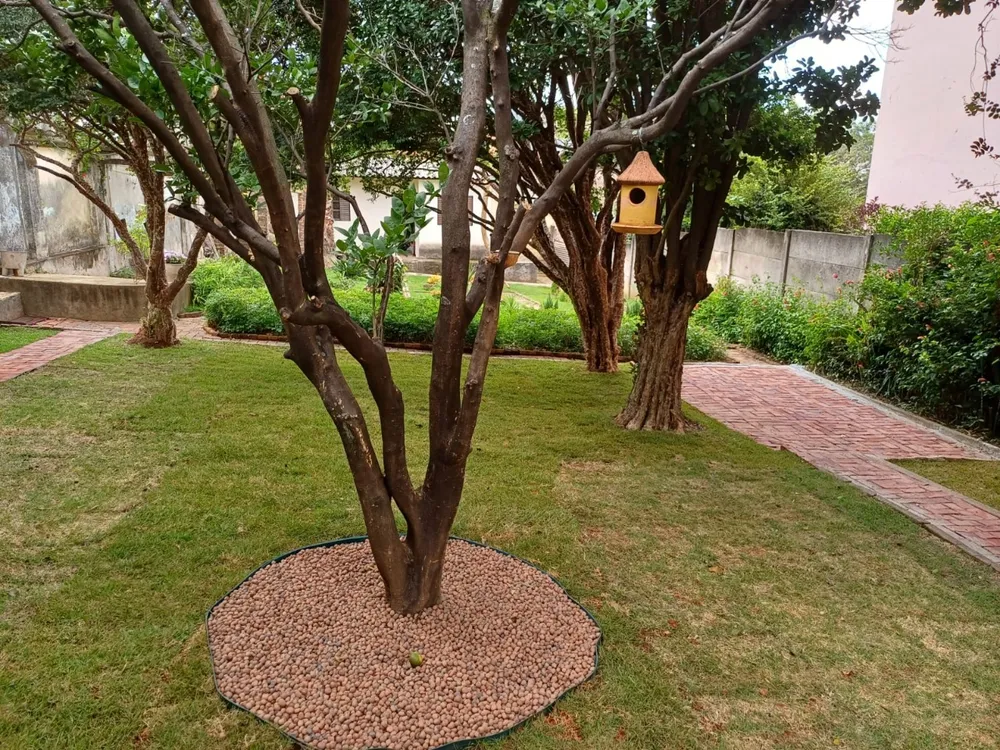 Casa, 3 quartos, 1008 m² - Foto 2