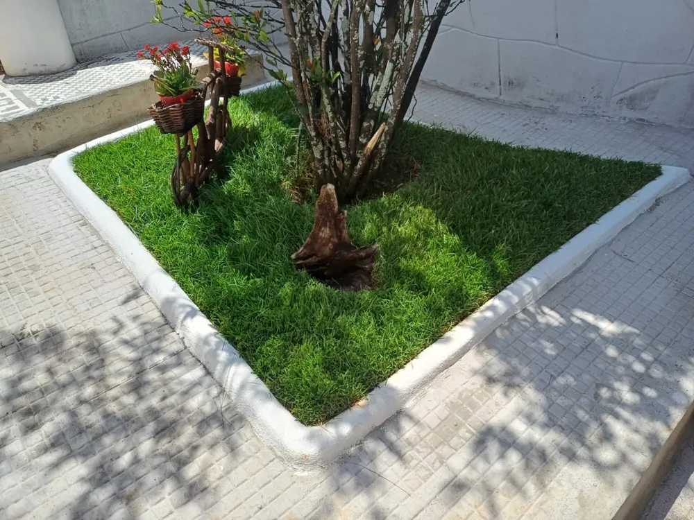 Casa, 3 quartos, 1008 m² - Foto 9