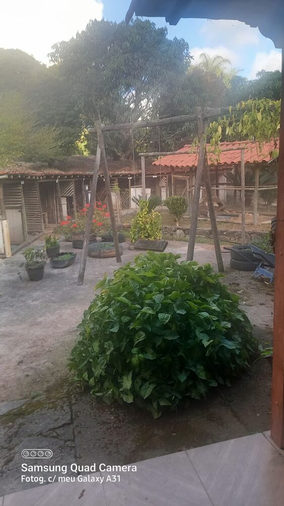 Sítio à venda com 5 quartos, 21500m² - Foto 2
