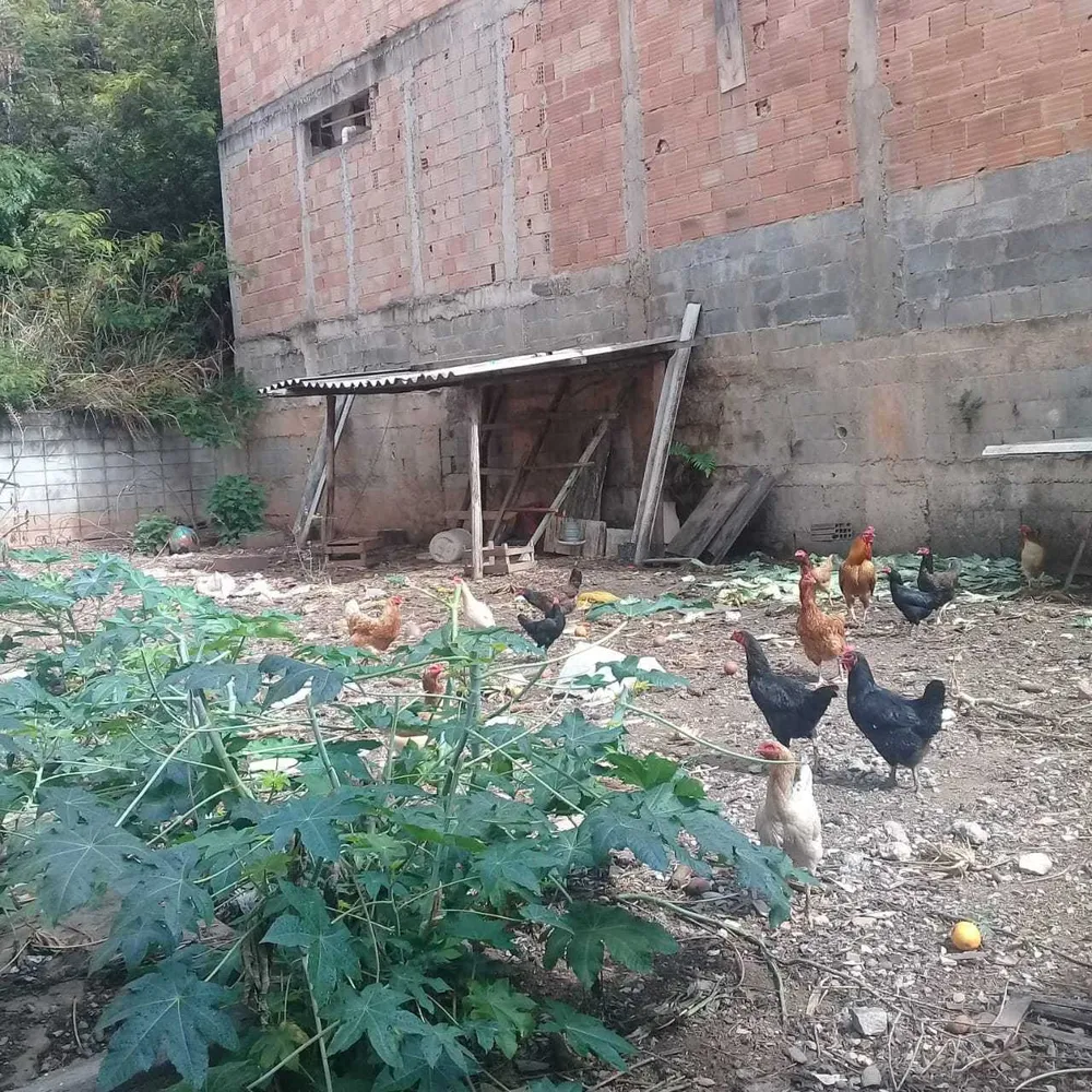 Terreno, 200 m² - Foto 3