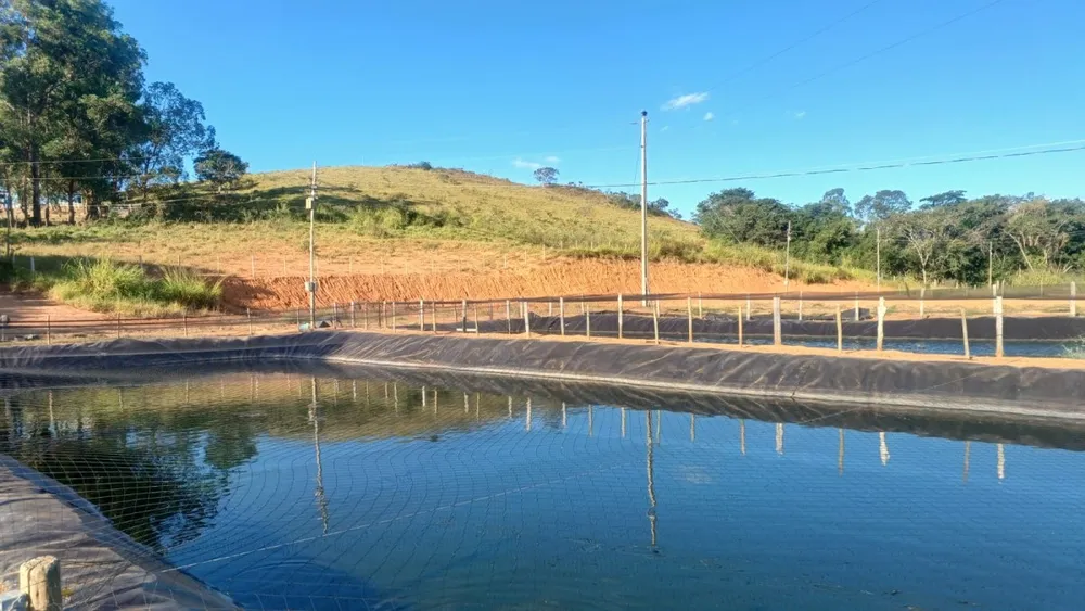 Fazenda, 105 hectares - Foto 7