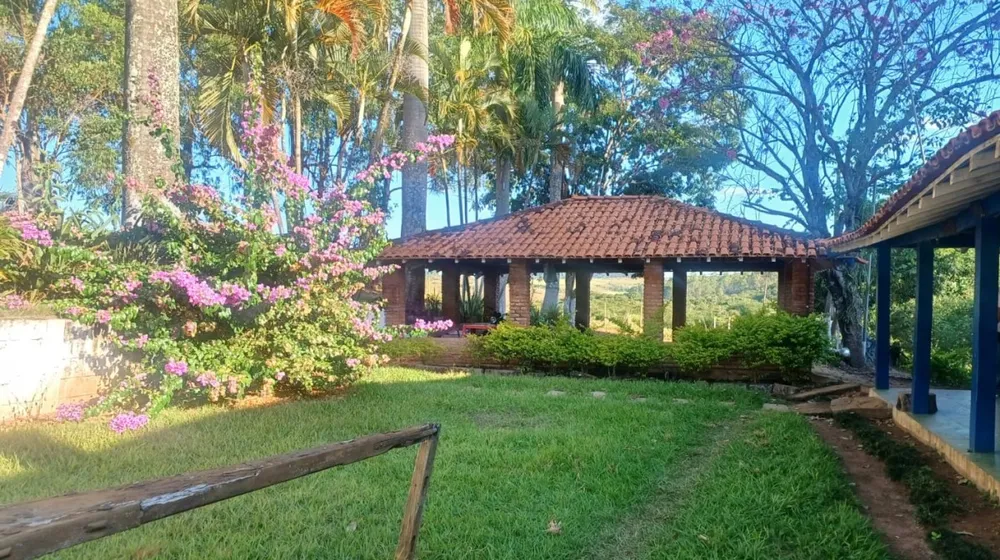 Fazenda, 105 hectares - Foto 3