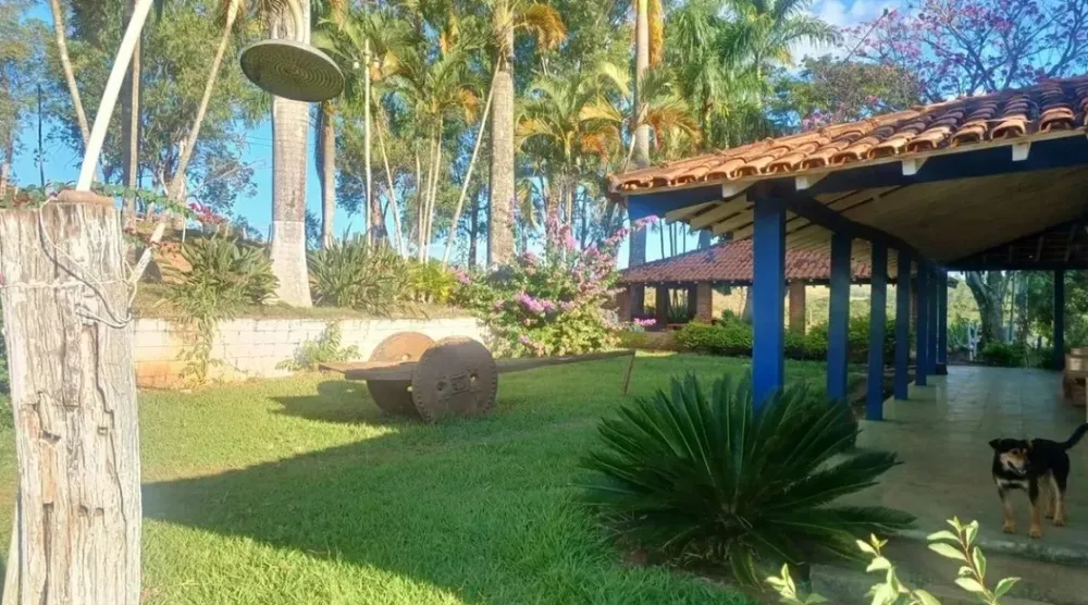 Fazenda, 105 hectares - Foto 1