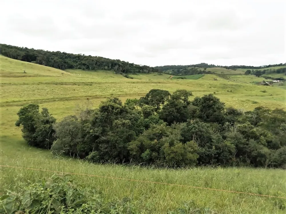Chácara, 2 quartos, 131 hectares - Foto 1
