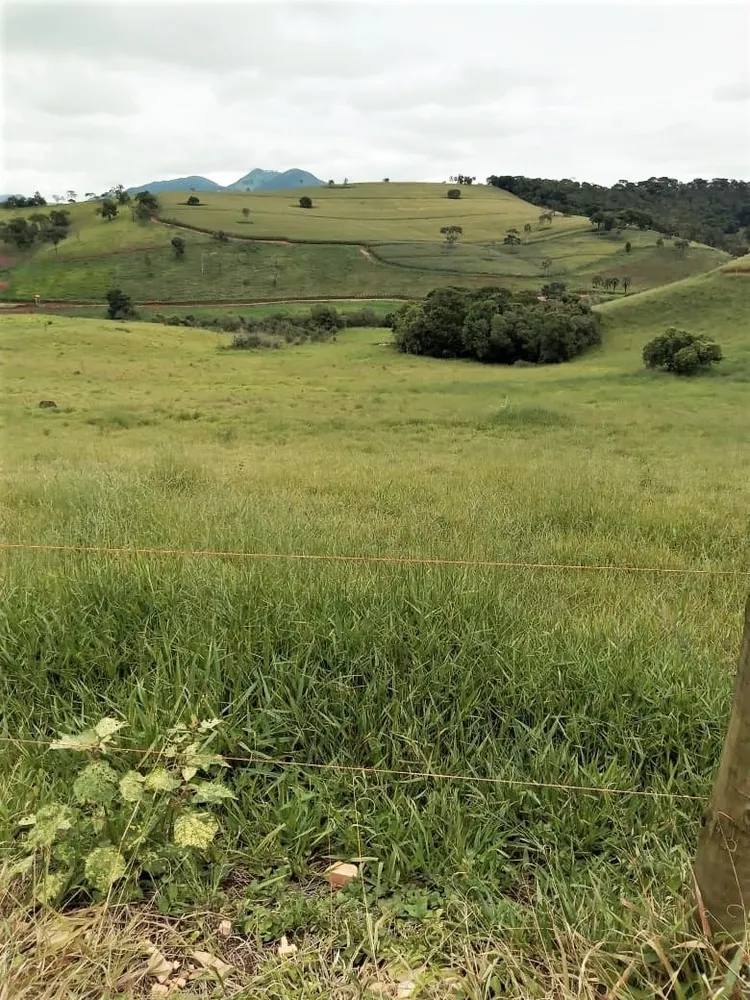 Chácara, 2 quartos, 131 hectares - Foto 4