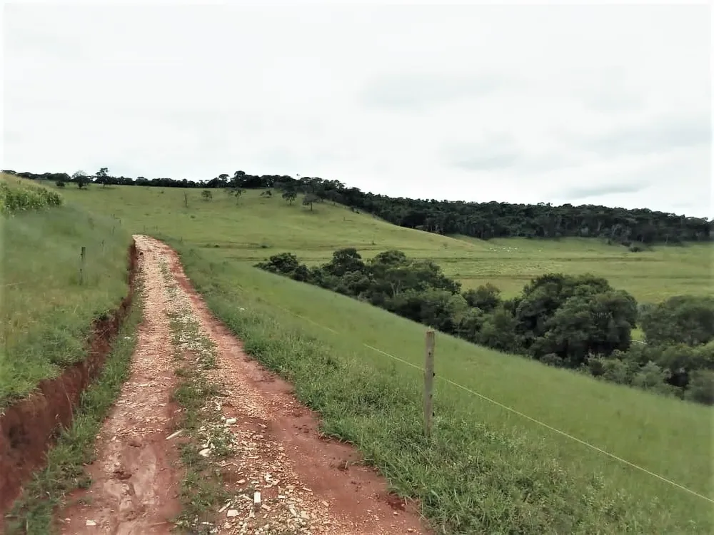 Chácara, 2 quartos, 131 hectares - Foto 2