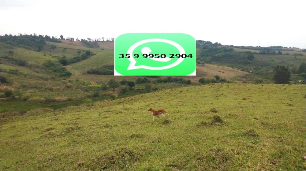 Fazenda, 106 hectares - Foto 21