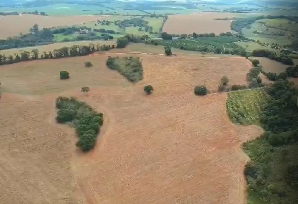 Fazenda, 106 hectares - Foto 20