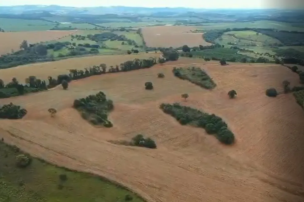 Fazenda, 106 hectares - Foto 3