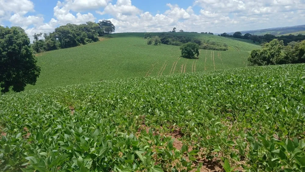 Fazenda, 106 hectares - Foto 2