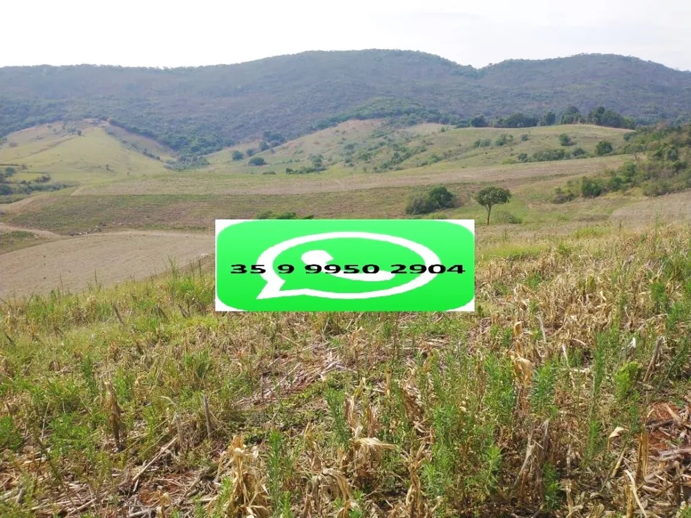 Fazenda, 106 hectares - Foto 18