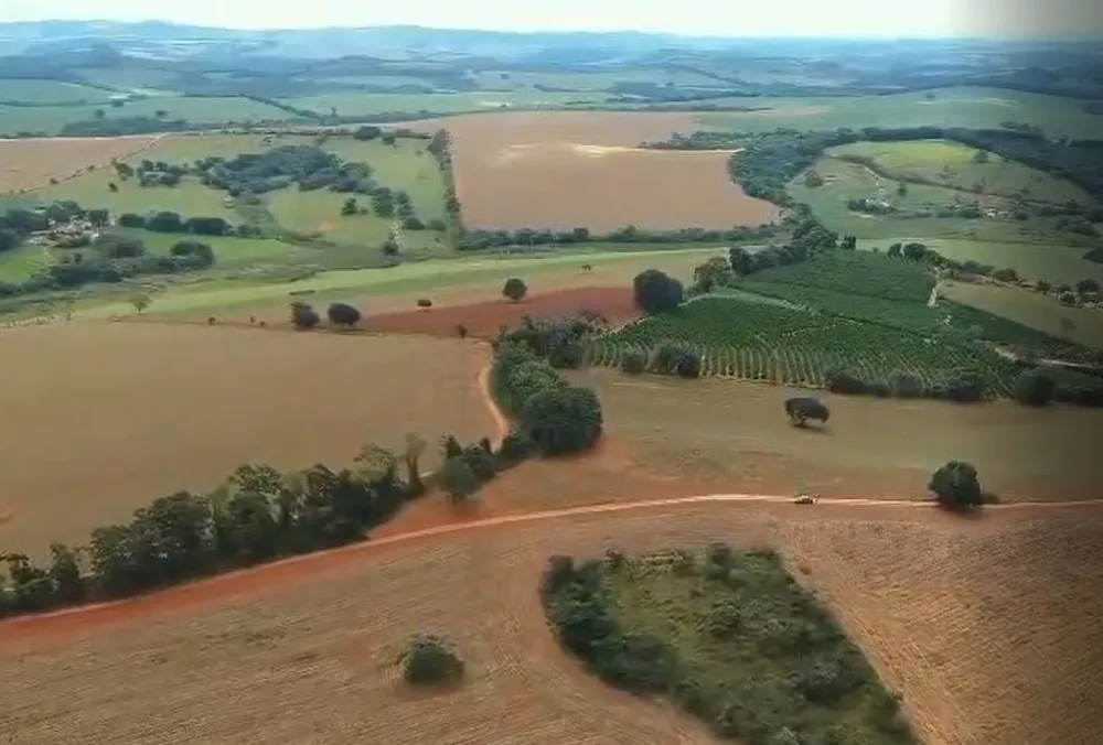 Fazenda, 106 hectares - Foto 4