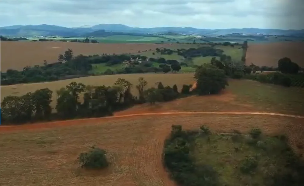 Fazenda, 106 hectares - Foto 4
