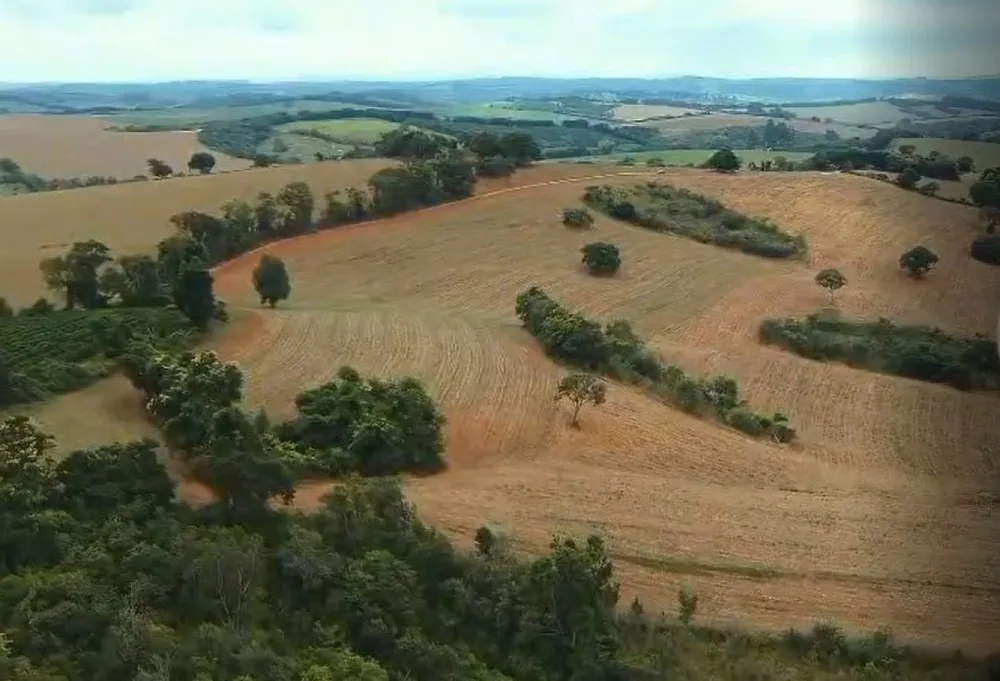 Fazenda, 106 hectares - Foto 7