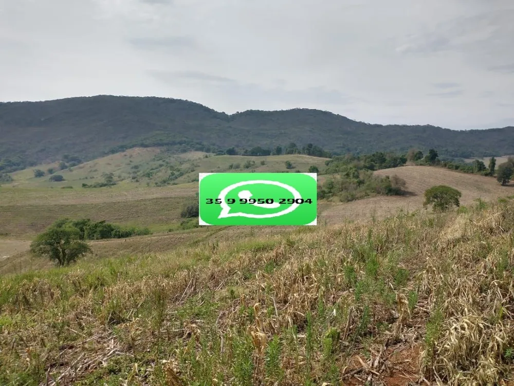 Fazenda, 106 hectares - Foto 14