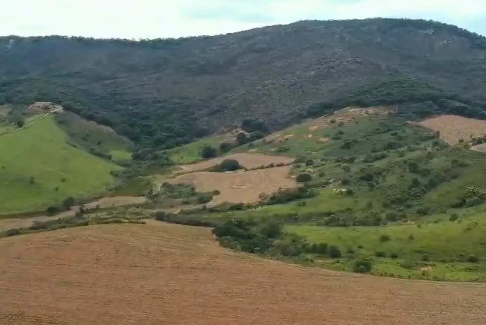 Fazenda, 106 hectares - Foto 4