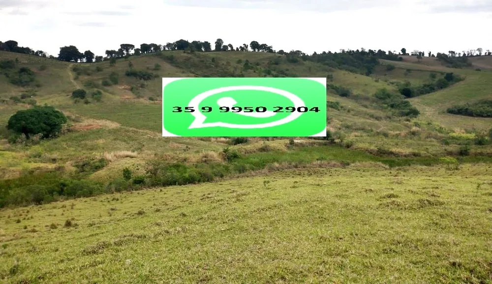 Fazenda, 106 hectares - Foto 19