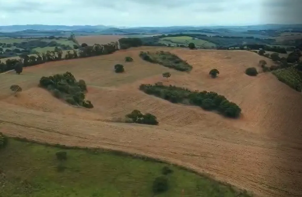 Fazenda, 106 hectares - Foto 19