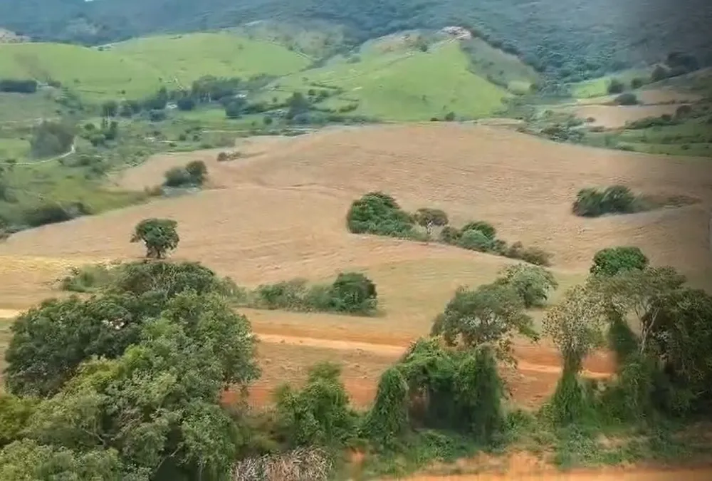 Fazenda, 106 hectares - Foto 9
