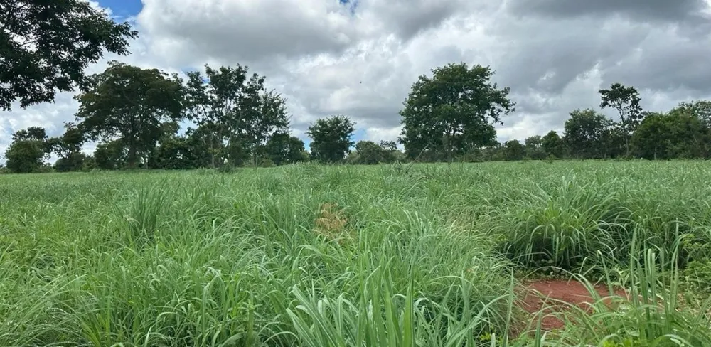Fazenda, 1800 hectares - Foto 2