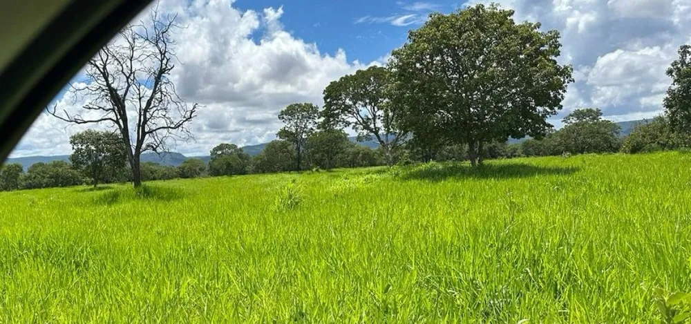 Fazenda, 1800 hectares - Foto 8