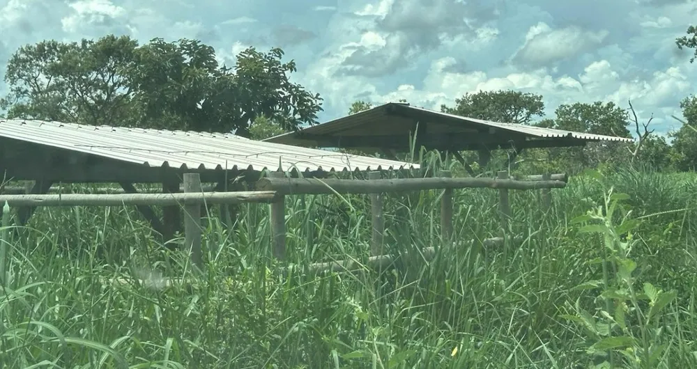 Fazenda, 1800 hectares - Foto 3