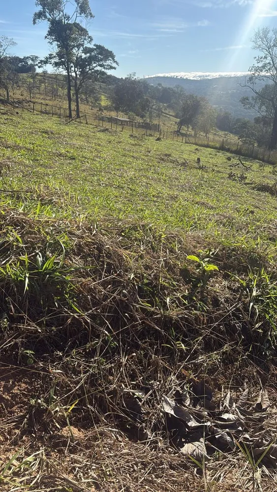 Terreno, 600 m² - Foto 9