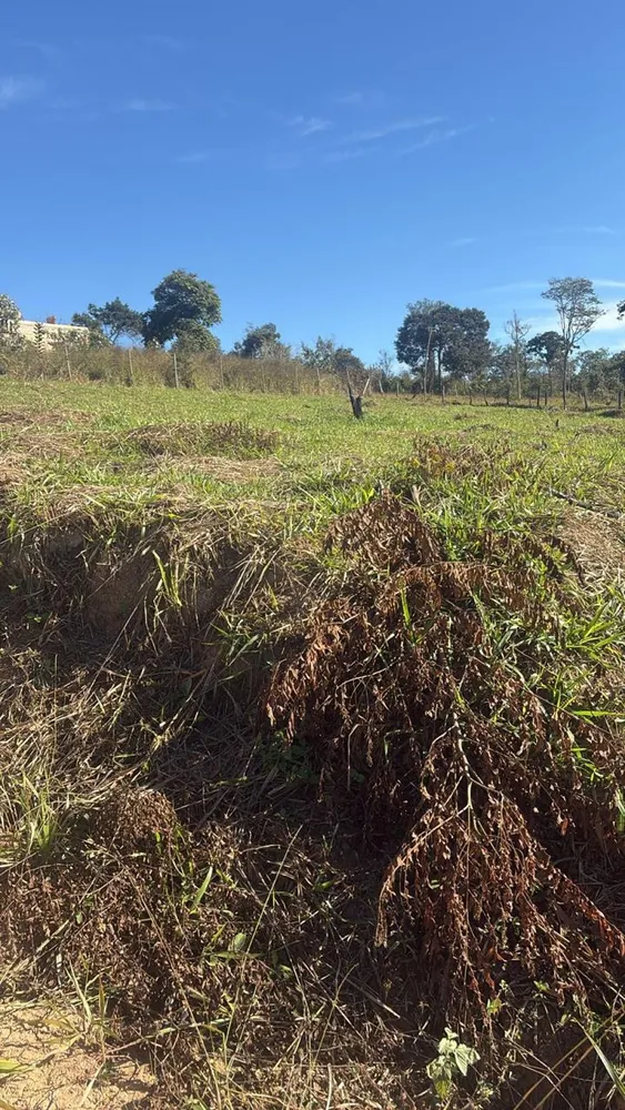 Terreno, 600 m² - Foto 7