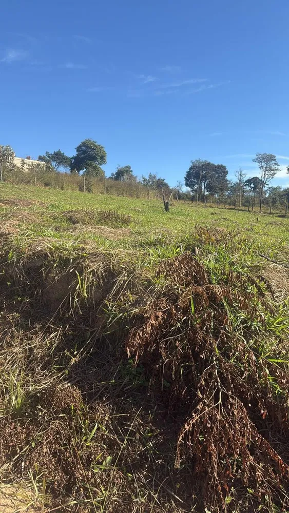 Terreno, 600 m² - Foto 6