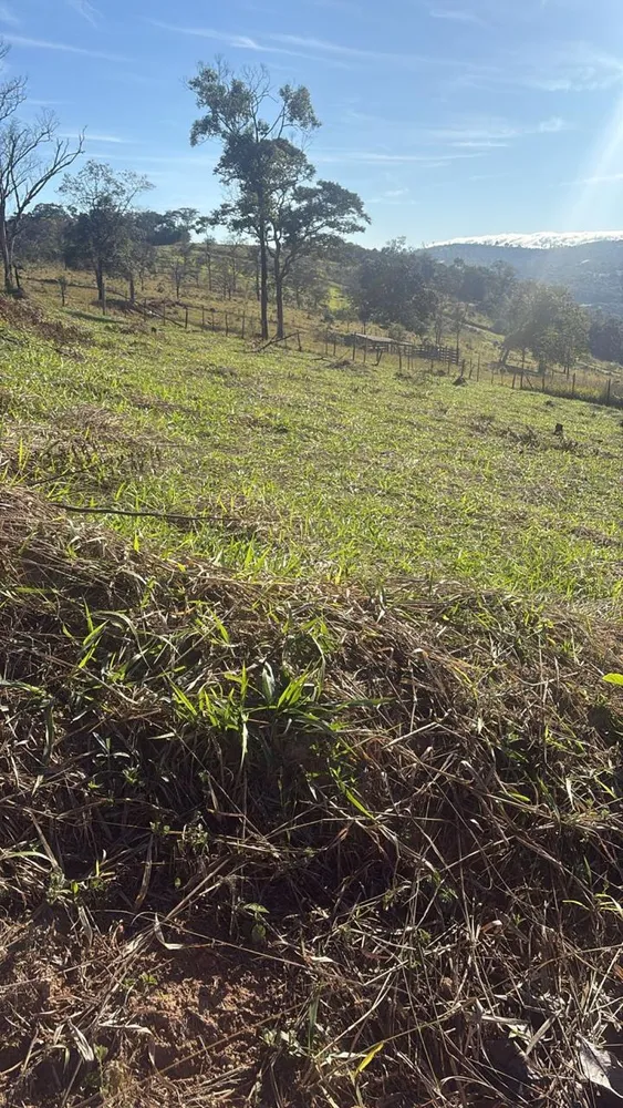 Terreno, 600 m² - Foto 8
