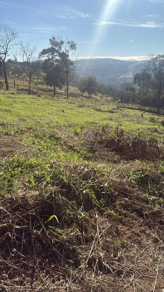 Terreno, 600 m² - Foto 5