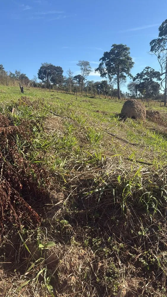 Terreno, 600 m² - Foto 10