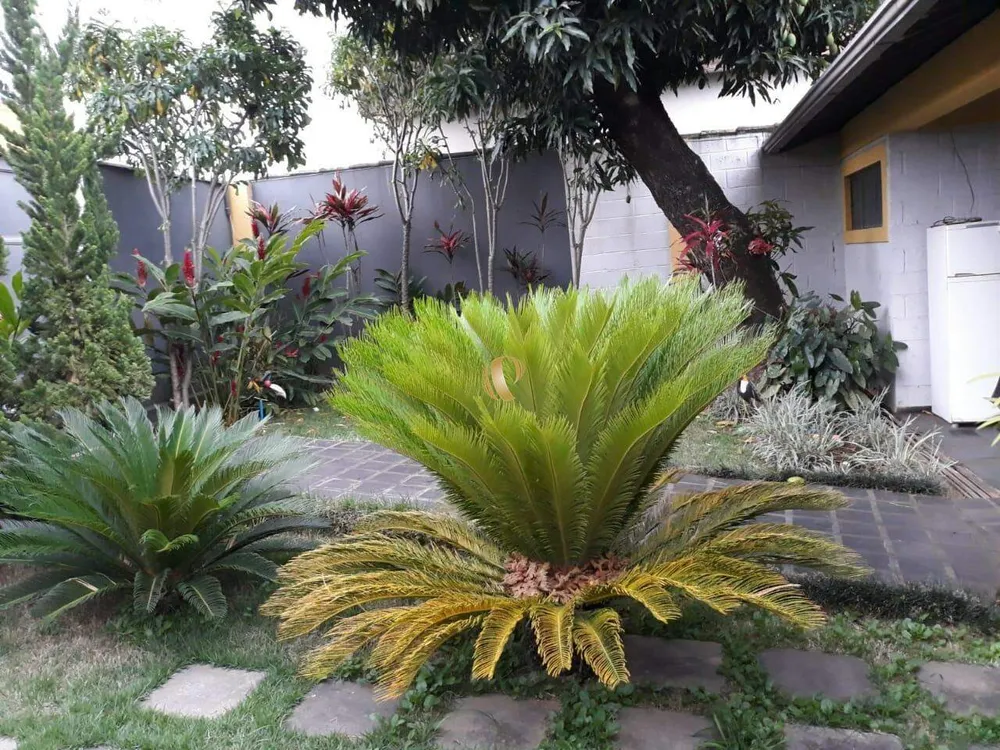 Casa, 3 quartos, 288 m² - Foto 7